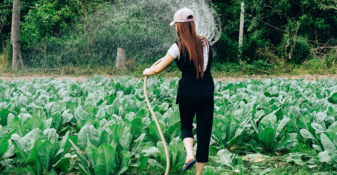 Organic and sustainable gift ideas for father’s day